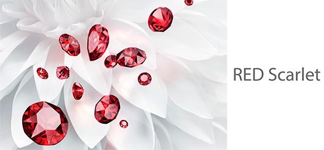 <h2>Jewel Cut Flat Back Family</h2>
<p>Cuando las cosas se ponen dif&iacute;ciles y el mundo adquiere un aura de incertidumbre, surge un deseo palpable de bailar por todo. El dise&ntilde;o adopta un car&aacute;cter ligero, volvi&eacute;ndose hacia la diversi&oacute;n y la risa. La moda se caracteriza por el glamour de la vendimia y la excentricidad rebelde en una especie de homenaje a los tiempos de los a&ntilde;os veinte y treinta, cuando el esp&iacute;ritu se mantuvo mientras el mundo se desmoronaba.</p>